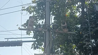 आगरा : करकुंज चौराहे पर खराब पड़े कैमरे । जागरण