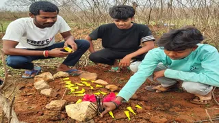 मोर का अंतिम संस्कार करते युवक।
