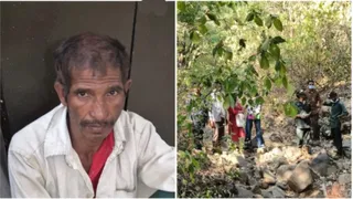 मुख्य आरोपी उदेसिंग और जंगल में जांच करती वन विभाग की टीम।