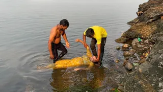 डिमना लेक में सोनारी की लापता महिला का शव मिला, सुरक्षा पर गंभीर सवाल।