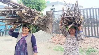 देहरादून के विकासनगर क्षेत्र में दो महिलाएं चूल्हा जलाने के लिए लकड़ियां लातीं हुई।