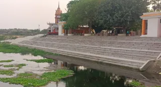लालगंज संगम तट पर जलकुंभी का अंबार। जागरण