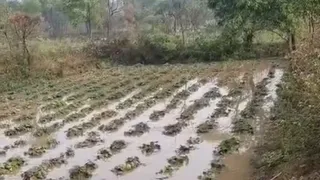 News Article Hero Image