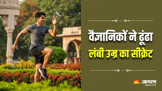 हार्ट अटैक और लिवर की बीमारियों का काल है ये 2 मिनट का व्यायाम (Image Source: AI-Generated)