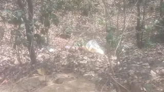 कोडरमा में प्लास्टिक बोरे में मिला महिला का अर्धनग्न शव, दुष्कर्म के बाद हत्या की आशंका।