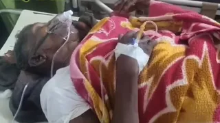 हाथी के हमले में महिला पुजारी की मौत। फोटो जागरण
