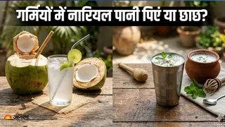 नारियल पानी या छाछ, क्या है ज्यादा बेहतर? (AI Generated Image)