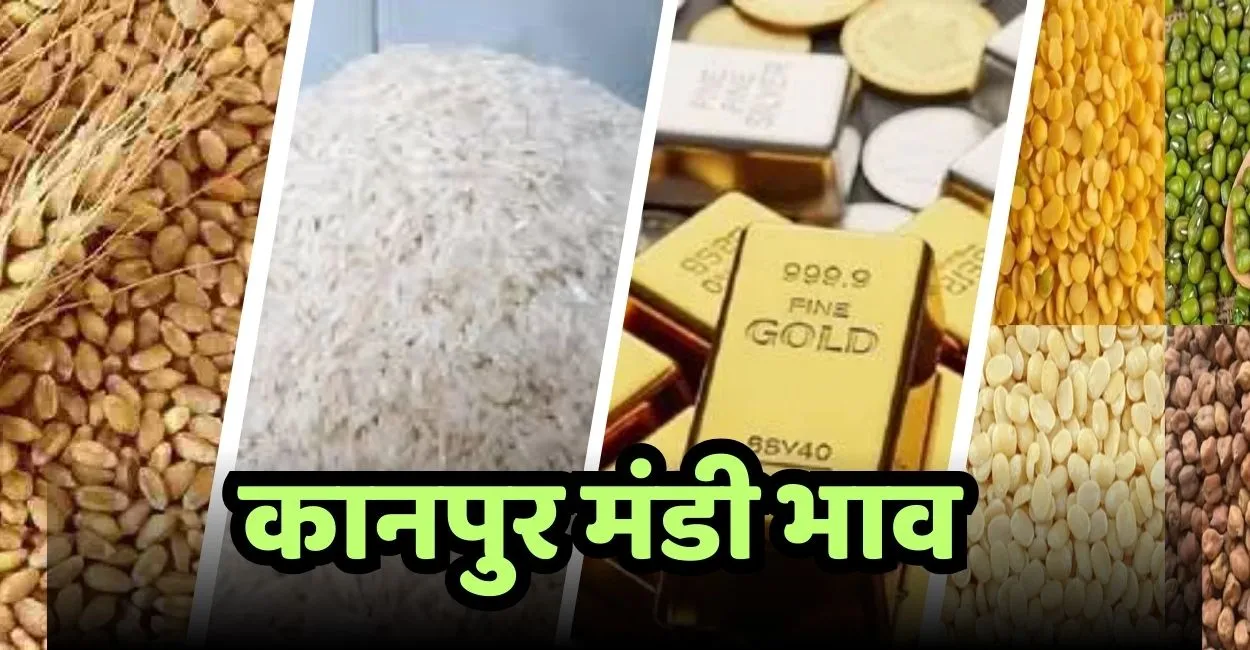 Kanpur में 3 अप्रैल 2026 का मंडी भाव, अनाज से लेकर सोना-चांदी तक के नए रेट जारी