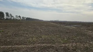 News Article Hero Image