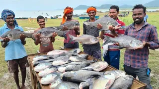 फाइल फोटो