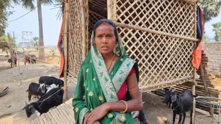 News Article Hero Image