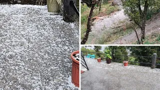 News Article Hero Image