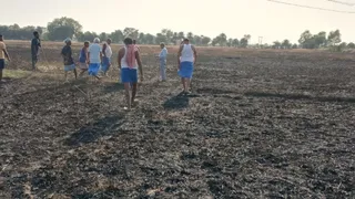 40 बीघे में खड़ी गेहूं की फसल जलकर राख
