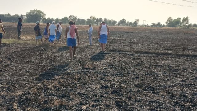 नालंदा में बिजली के तारों से निकली चिंगारी ने छीना किसानों का निवाला, 40 बीघे में खड़ी गेहूं की फसल जलकर राख


