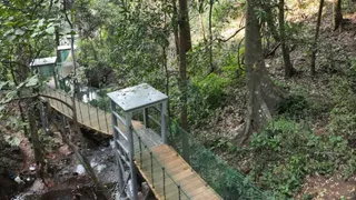 सारंडा स्वर्ग से कम नहीं, सुविधाएं बढ़ाने पर ध्यान जरूरी। (फोटो: जागरण)