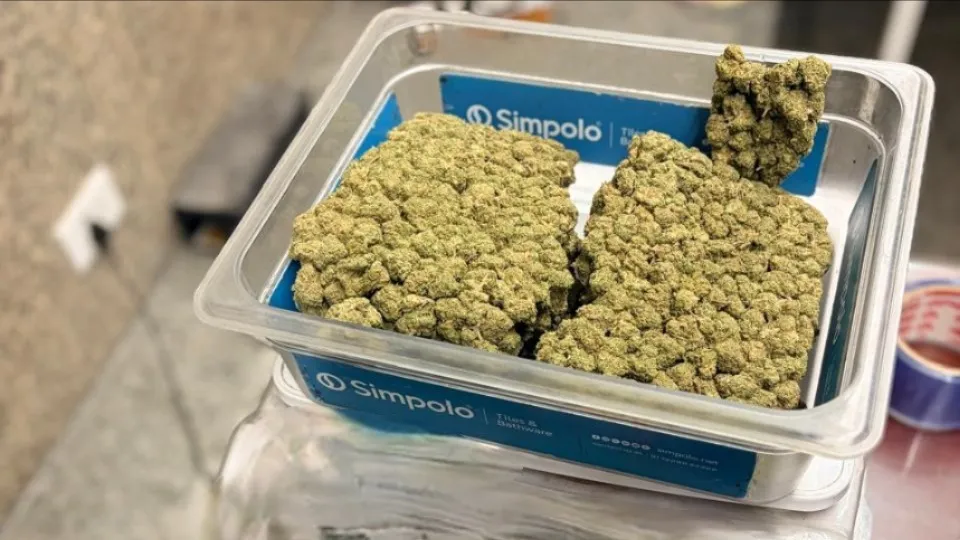 लखनऊ एयरपोर्ट पर तीन करोड़ का हाइड्रोपोनिक गांजा जब्त, बैंकॉक से आया तस्कर गिरफ्तार