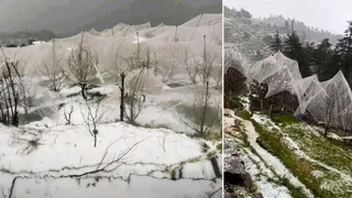 हिमाचल प्रदेश में दो दिन मौसम कड़े तेवर दिखाएगा।
