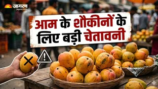 हैदराबाद में 200 किलो नकली आम जब्त, घर बैठे ऐसे करें असली आम की पहचान (Image Source: AI-Generated)