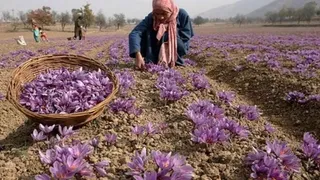 विधायक हसनैन मसूदी ने उठाया मुद्दा, सरकार से की कार्रवाई की मांग। फाइल फोटो।