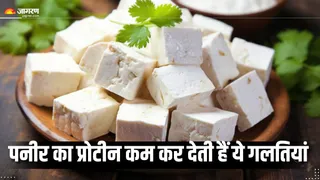 पनीर को गलत तरीके से तो नहीं पका रहे आप? (Picture Courtesy: Freepik)