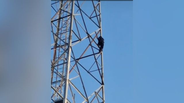 प्रेमी पर शादी का दबाव बनाने को लेकर टावर पर चढ़ी युवती, डेढ़ घंटे तक मशक्कत करती रही पुलिस
