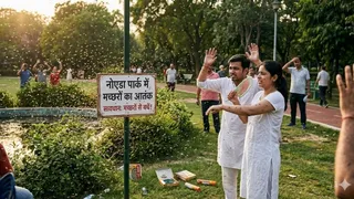 नोएडा के सेक्टर-74 स्थित पार्क और ओपन जिम मच्छरों के प्रकोप के कारण वीरान हो गए हैं। इमेज एआई