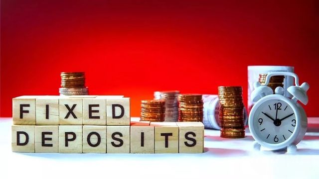 rbi repo rate unchanged check highest fd rates 2024