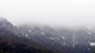 कौसानी में भी लगातार बारिश के चलते तापमान में गिरावट दर्ज की गई है। जागरण