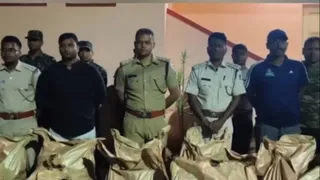 3 करोड़ रुपये का 28 क्विंटल गांजा