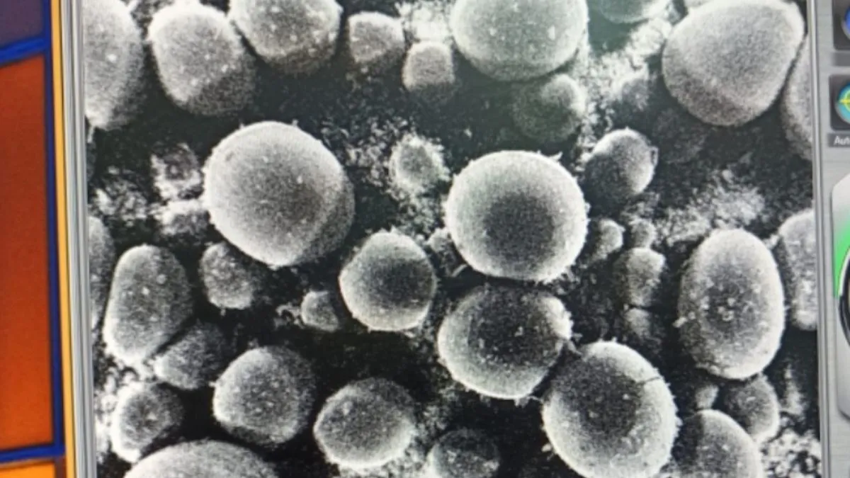 अब प्लास्टिक कचरे से बनेगा जैव कार्बन, गंदा पानी और जमीन को बनाएगा उपयोगी; CIPET ने विकसित की नई तकनीक