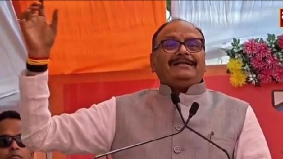 'यहां ओले गिर रहे और वह छुट्टी में नानी के घर घूम रहे हैं', डिप्टी सीएम ब्रजेश पाठक का व‍िपक्ष पर वार
