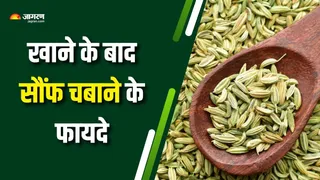 क्यों खाने के बाद खानी चाहिए सौंफ? (Picture Courtesy: Freepik)