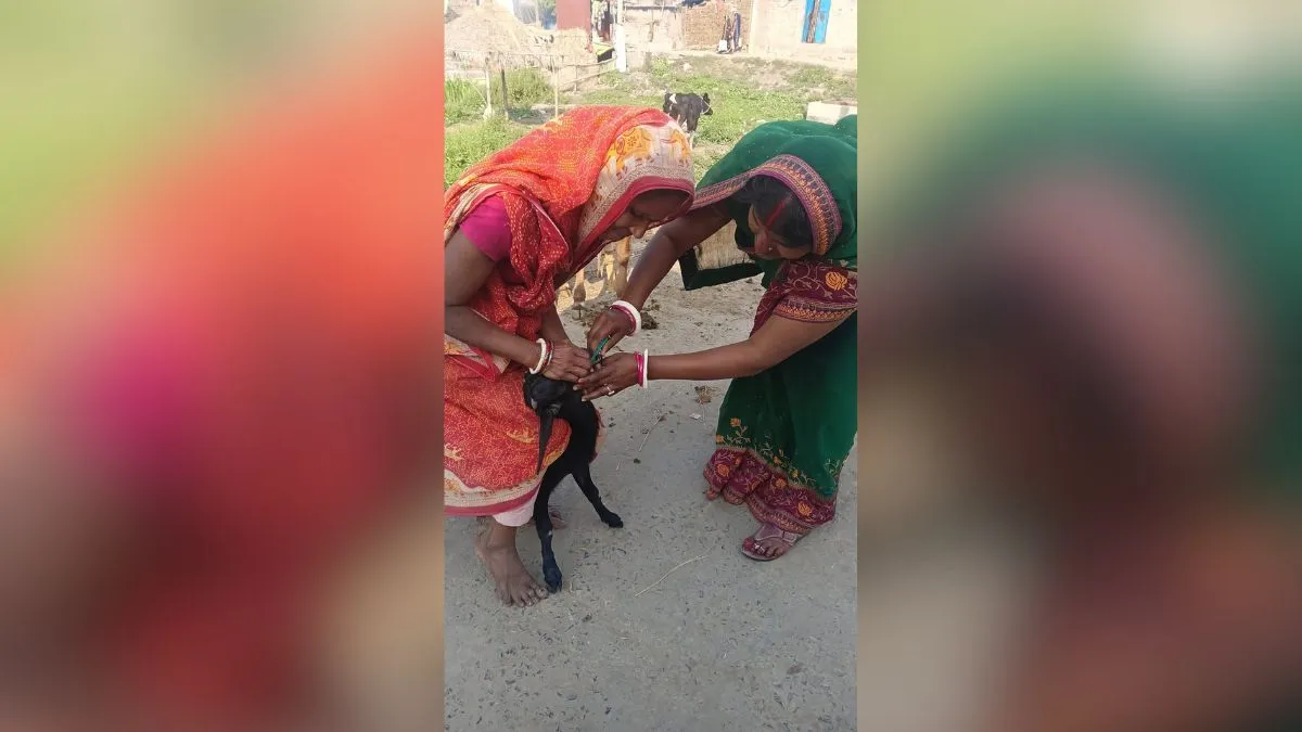भागलपुर में महिलाओं का ATM बना बकरी पालन, आत्मनिर्भरता की बन गई है नई राह