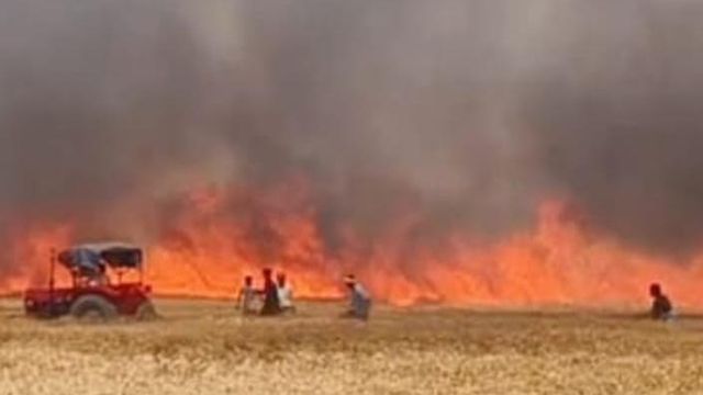 5 गांवों के 500 बीघा गेहूं की फसल राख, रोहतास में भीषण आग से किसानों की कमर टूटी
