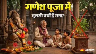 Ganesh Ji and Tulsi Mystery: क्यों नहीं चढ़ाई जाती गणेश जी को तुलसी?)