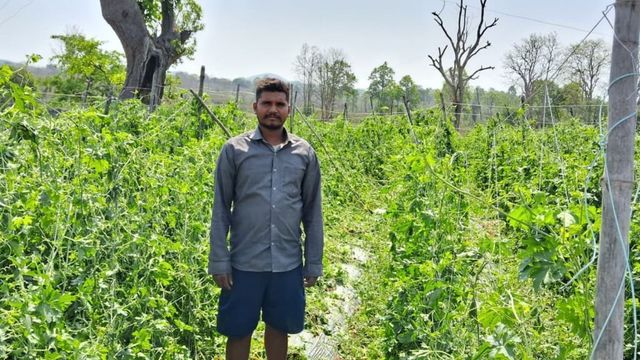 चार लाख रूपया कर्ज लेकर की खेती, बारिश ने बर्बाद की फसल; प्रशासन से लगाई मदद की गुहार
