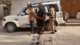घटनास्थल पर पहुंची डांग स्क्वायड टीम।