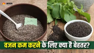 वजन कम करने के लिए चिया सीड्स खाएं या सब्जा के बीज? (Picture Courtesy: Freepik)