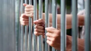 News Article Hero Image