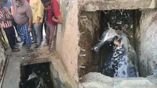 बरेली कालेज तिराहे के पास खुले नाले में गिरी गाय और मौके पर जुटे लोग। सौ. पार्षद