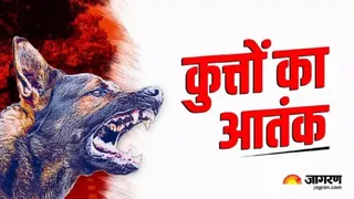 मृतक रूपेंद्र के स्वजन ने स्वास्थ्य केंद्र के कर्मचारियों पर लापरवाही के गंभीर आरोप लगाए हैं।