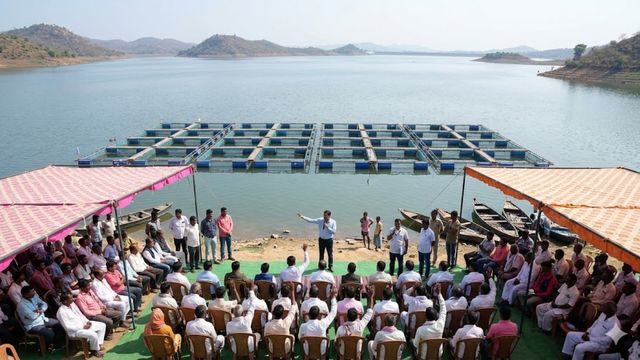 बांका के ओढ़नी डैम में मछली पालन के लिए 24 केज की बंदोबस्ती, 28-29 अप्रैल को खुली डाक का आयोजन
