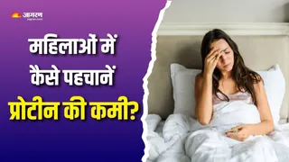क्यों भारतीय महिलाओं में बढ़ रही है प्रोटीन की कमी? (Picture Courtesy: Freepik)