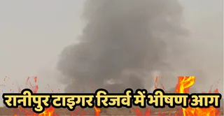 जंगल में लगी आग से उठता धुआं। जागरण