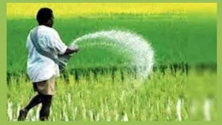 फार्मर रजिस्ट्री न कराने पर किसानों की सम्मान निधि अटक सकती है।