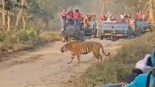 इस तस्वीर का उपयोग सांकेतिक रूप में किया गया है।