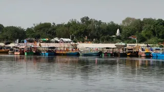 फाइल फोटो।