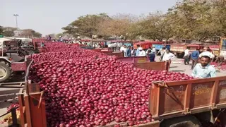 निर्यात में भारी गिरावट से प्याज बाजार चरमराया (फाइल फोटो)