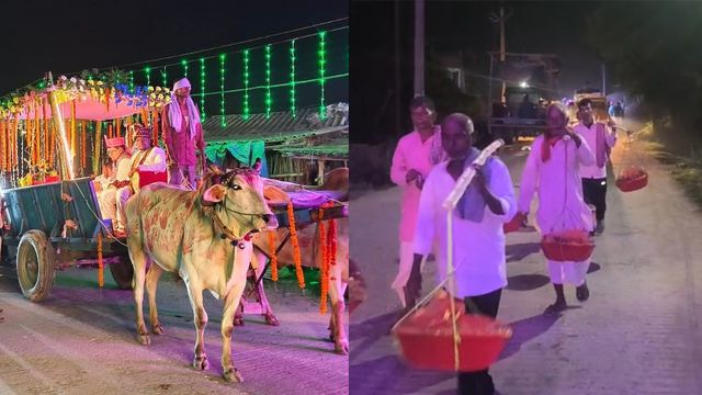 बैलगाड़ी पर दूल्हा, घोड़ों की अगुवाई; बेगूसराय से समस्‍तीपुर तक सभी रह गए हैरान, विधायक भी बने बराती 
