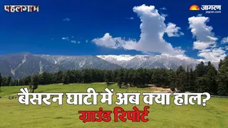 देवदार से आती हवाओं में आज भी घुला है मासूमों का दर्द और अपनों को खोने का मातम। फोटो: साहिल मीर